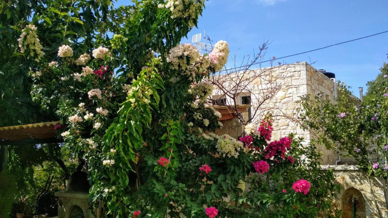 Villa Vera Sívota エクステリア 写真